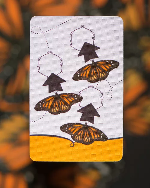 Test du jeu MARIPOSAS carte action 1